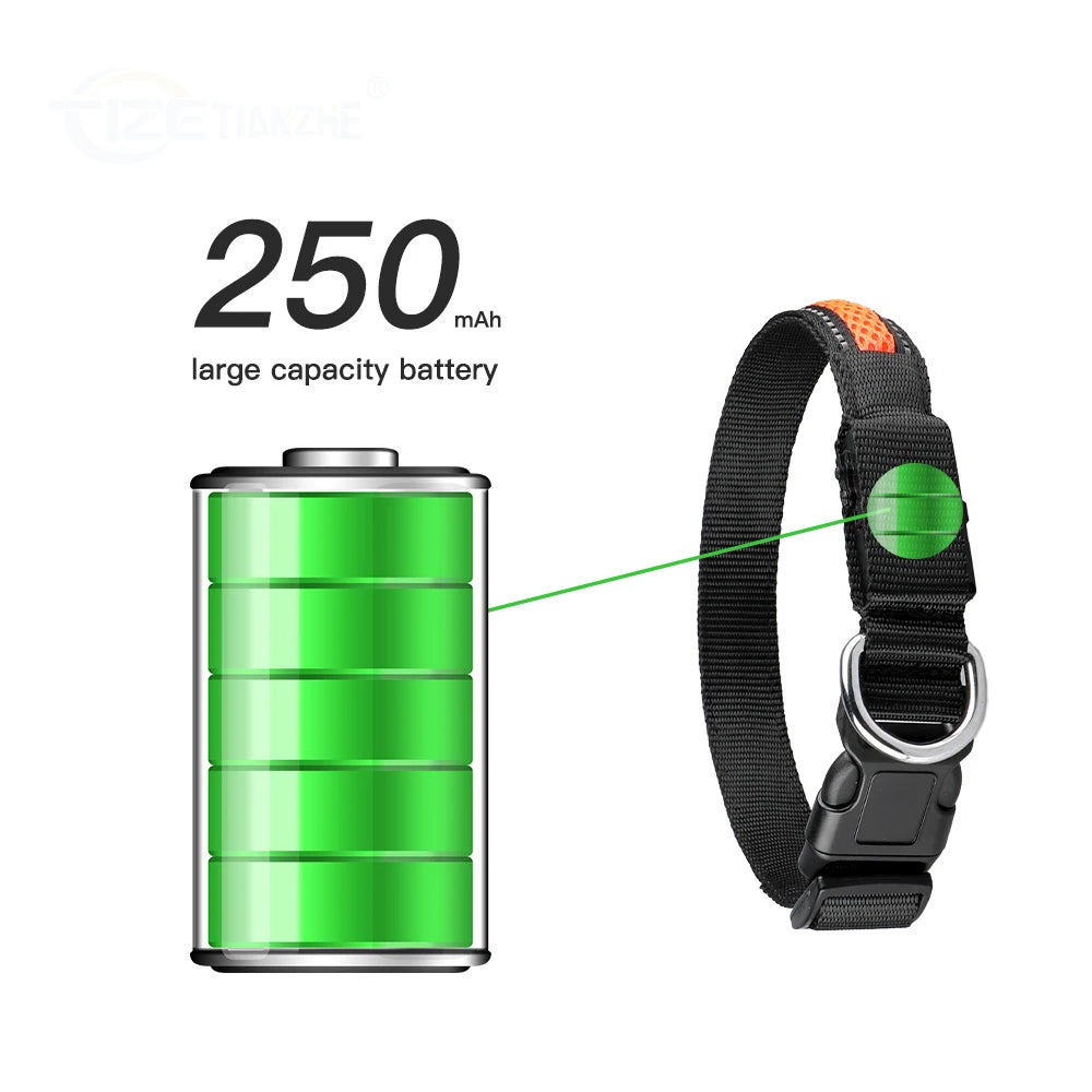 LED Dog Collar Luminous Flashing Glow Necklace Waterproof Reflective