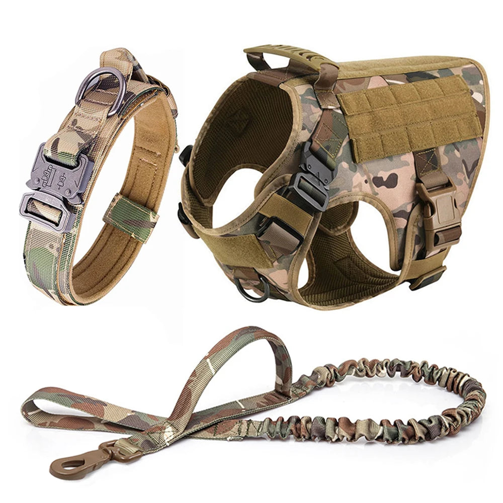 Dog Harness And Leash Set Pet Training Walking