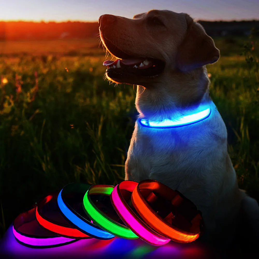 Dog Collar Luminous Pet Supplies Waterproof Safety Collars