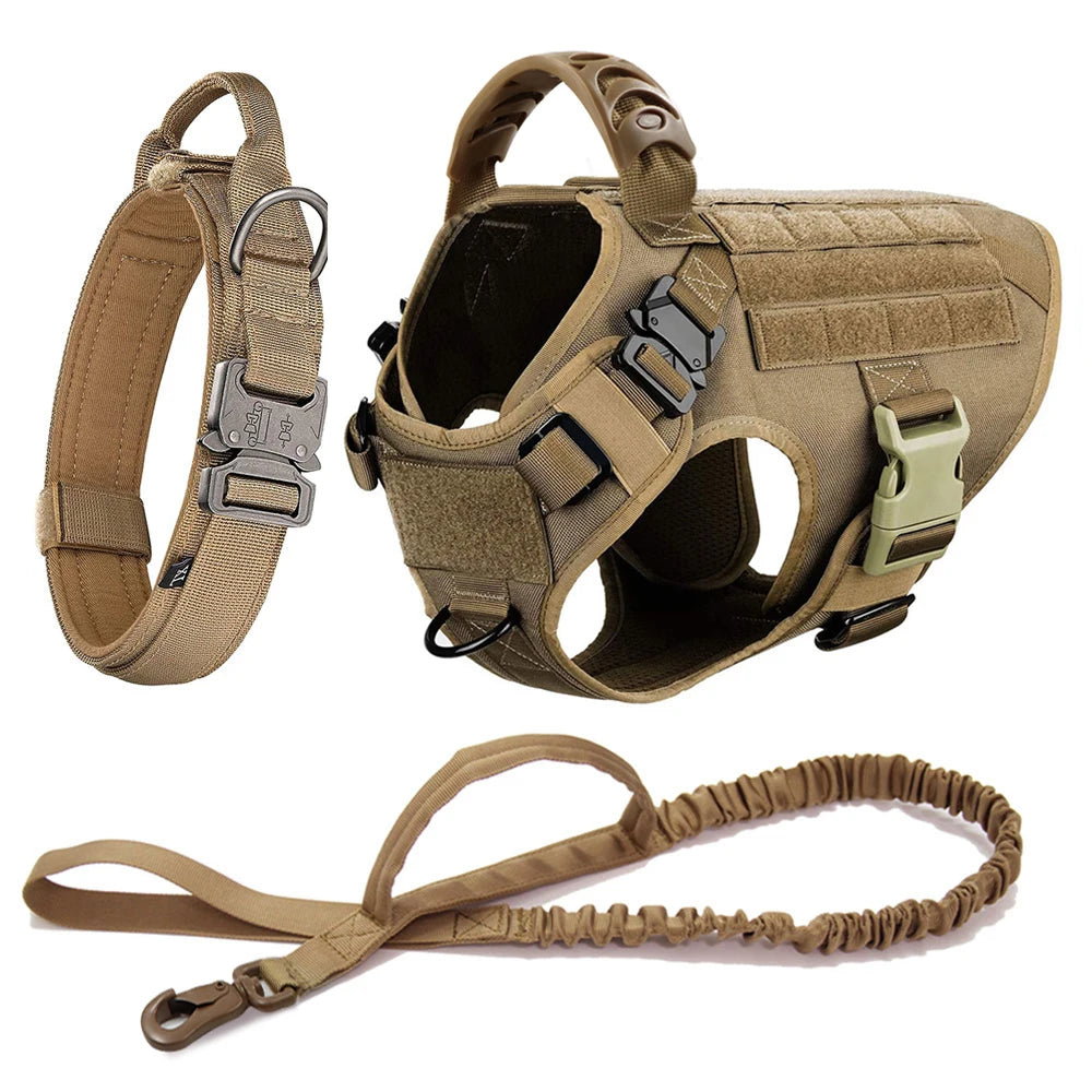 Dog Harness And Leash Set Pet Training Walking