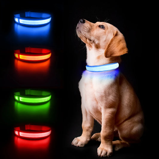 Dog Collar Luminous Pet Supplies Waterproof Safety Collars