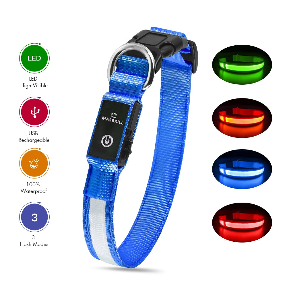Dog Collar Luminous Pet Supplies Waterproof Safety Collars