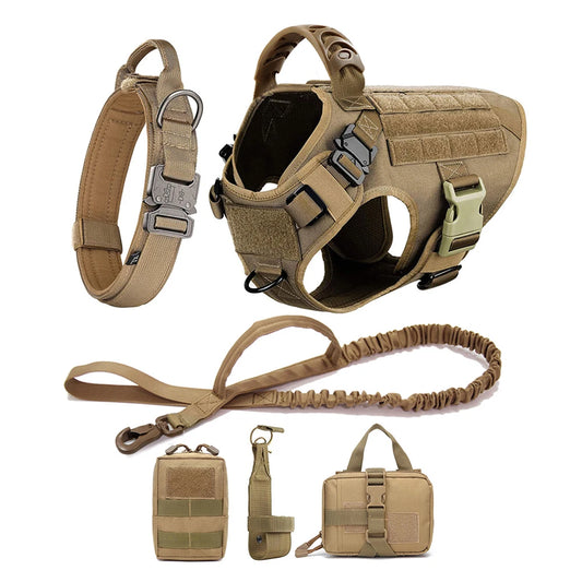 Dog Harness And Leash Set Pet Training Walking